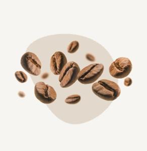 Grains de café de qualité - Graindecafe